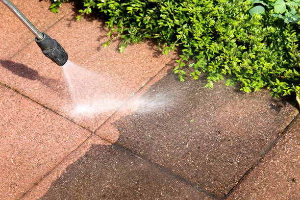 Best House Pressure Washing  in Pico Rivera, CA